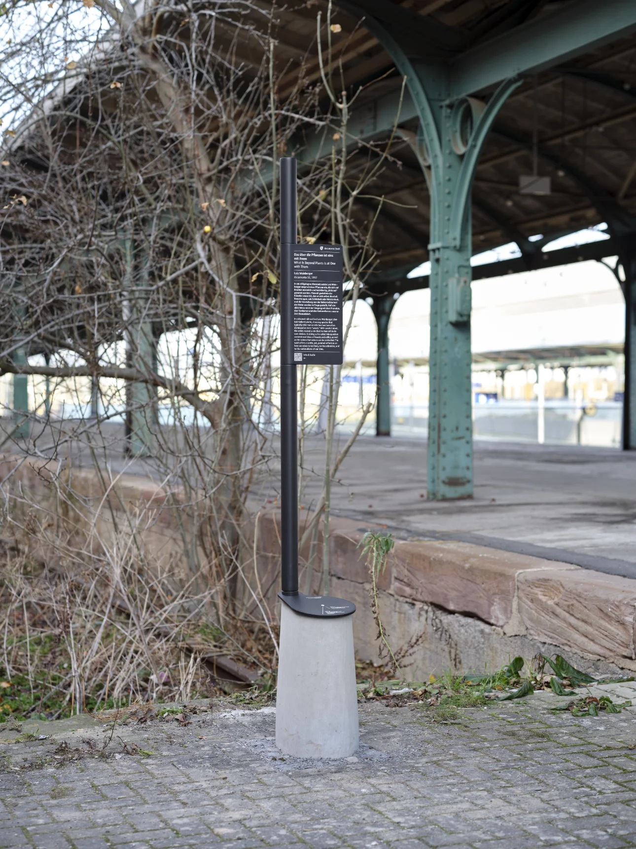 251218_Bdwk_Pflanzen